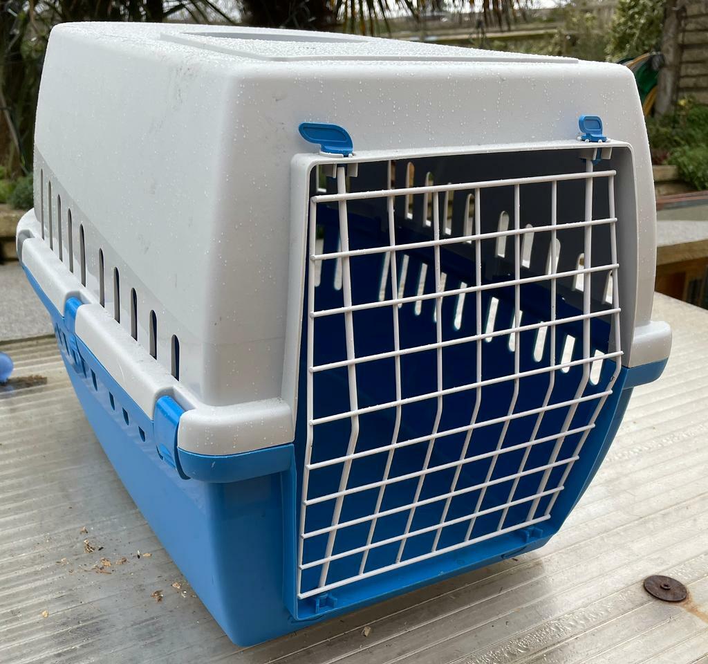 extra large pet carrier